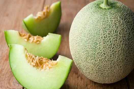 Melon Seed Oil Benefits: Unlocking the Multifaceted BenefitsMelon Seed ...